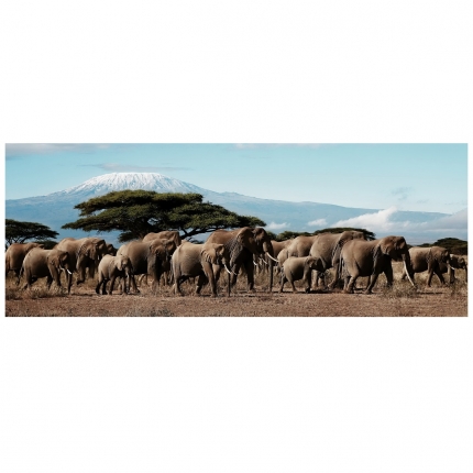 HERD OF ELEPHANTS 45x140 cm