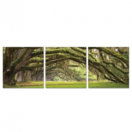 ALLEY OF TREES II 60x180 cm / 3 ks (60x60) cm