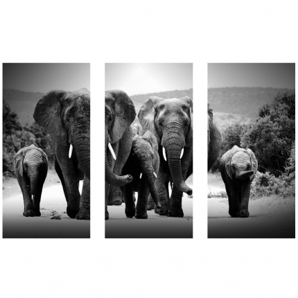 FAMILY OF ELEPHANTS 80x120 cm / 3ks (80x40) cm