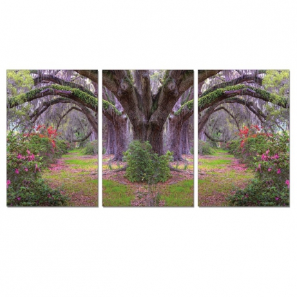 MYSTERIOUS TREES 120x240 cm / 3 ks (120x70) cm